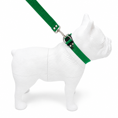 COLLAR REGULABLE