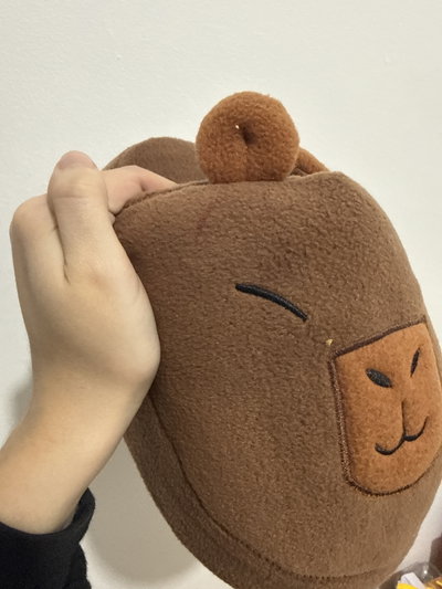 OUTLET PANTUFLAS CARPINCHO