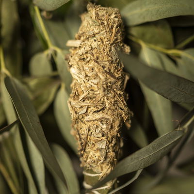 SAHUMO LIMPIEZA ENERGETICA CHICO SAGRADA MADRE