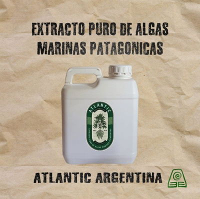 Extracto puro de Algas 5Lts Atlantic Argentina