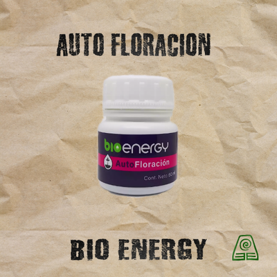 Auto Floracion 50cc BioEnergy