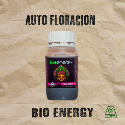 Auto Floracion 250cc BioEnergy