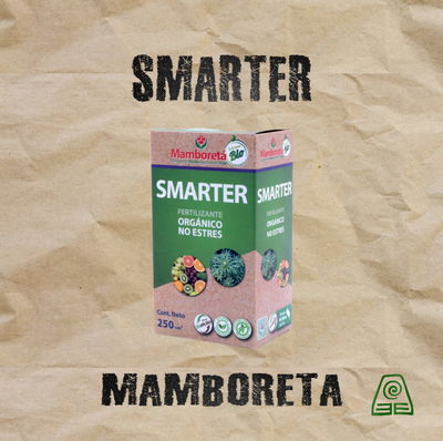 Smarter 250cc Mamboreta