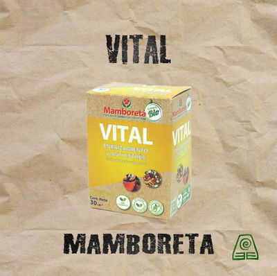 Vital 30cm Mamboreta