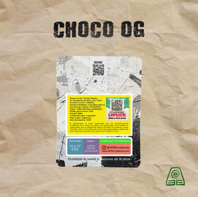 Choco Og x 3 semilla cannabis feminizada fotoperiodica INASE