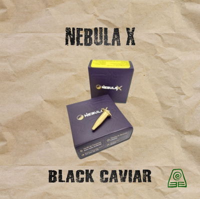 Nebula X de Black Caviar x 3 semilla cannabis feminizada INASE