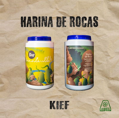 Harina de Rocas Waliullah 2Kg Kief