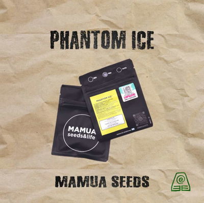 Phantom Ice x 4 Mamua Seeds semilla cannabis feminizada INASE