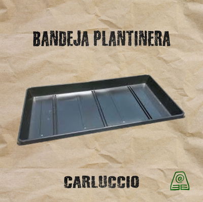 Bandeja Plantinera Forrajera Reforzada Carluccio