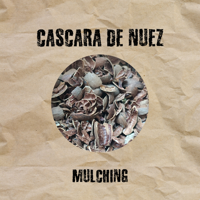 Cascara de Nuez 10L mulching cobertura seca