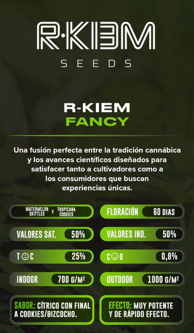 Esqueje Fancy Gummy R-kiem BEIJA FLOR