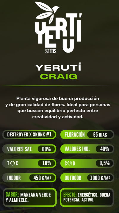 Esqueje Craig Yeruti Clon Factory