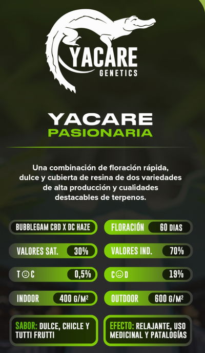 Esqueje Pasionaria Yacare Clon Factory