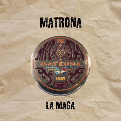 Semillas Fotoperiódicas Fem Matrona x 5 La Maga