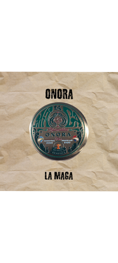 Semillas Automaticas Fem Onora x 5 La Maga