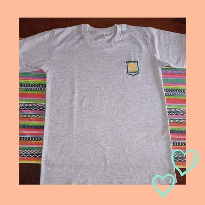 Remera Gris Secundaria