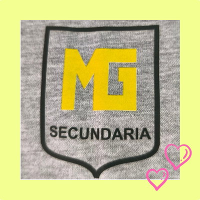 PROMO - Remera Gris Secundaria DTF