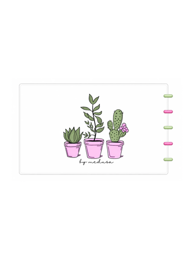 Fichero Cactus Sistema de discos