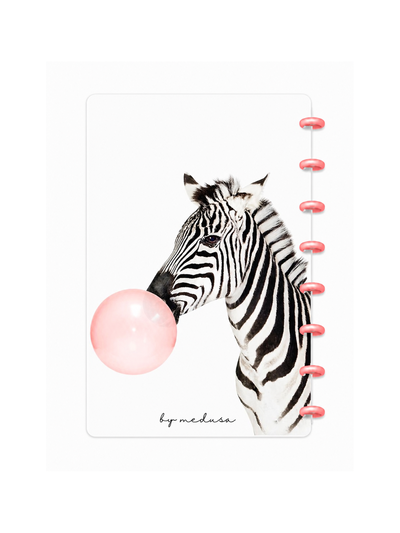 Cuaderno A5 Cebra Sistema de discos