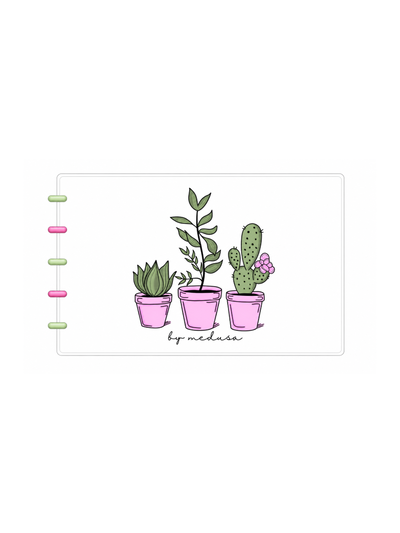 Fichero Cactus Sistema de discos