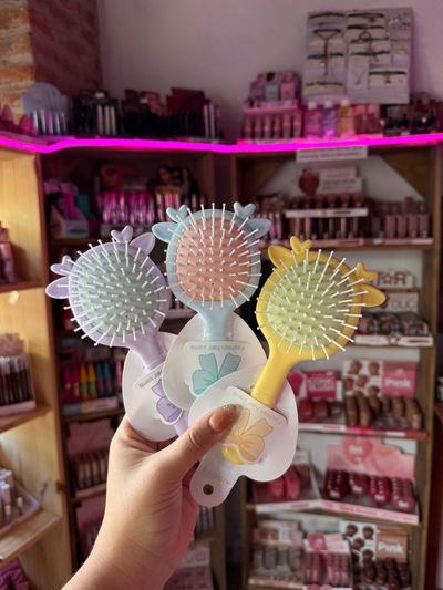 cepillo para la cartera