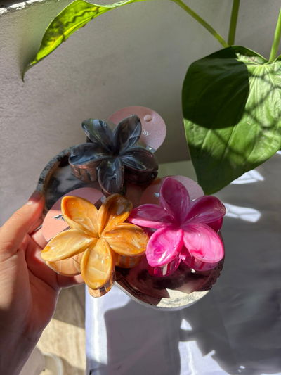 broche tropical pastel