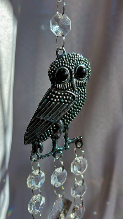 Atrapasol Lechuza 🦉 