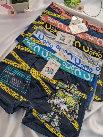 Boxer juvenil x1
