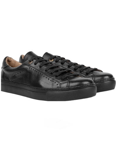 Zapas Abacco Negras 