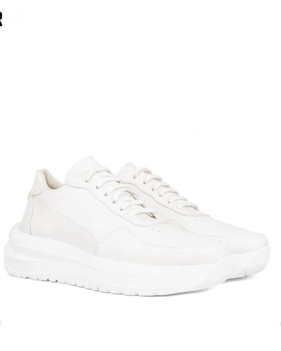 Zapas Morris Blancas 