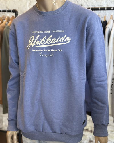 Buzo azul frisado estampa delantera 