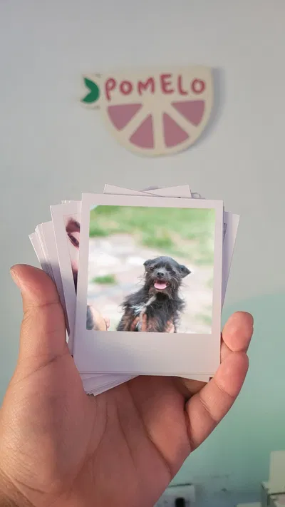 Fotos polaroid