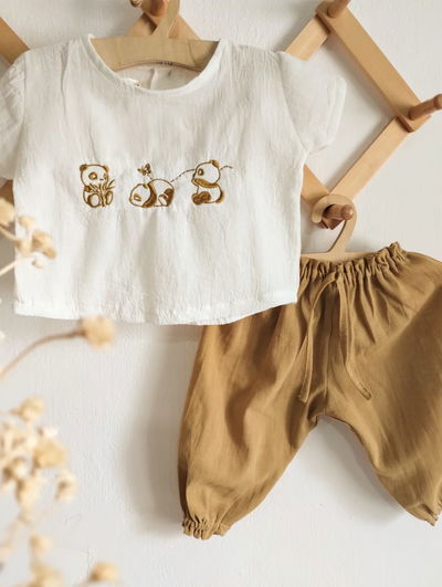 Conjunto Panda Avellana