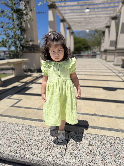 Vestido Merlina Bordado Verde Pistacho 