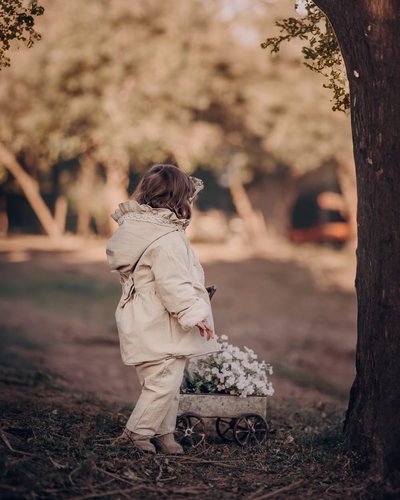 PROMO Tapado Soft Arena