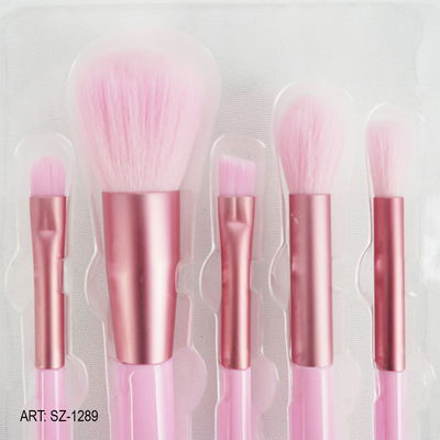 Set de Brochas medianas x5