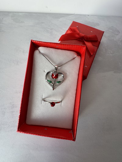 Set: Anillo promesa + Collar Bella y Bestia