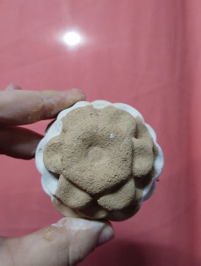 Triple flor loto 