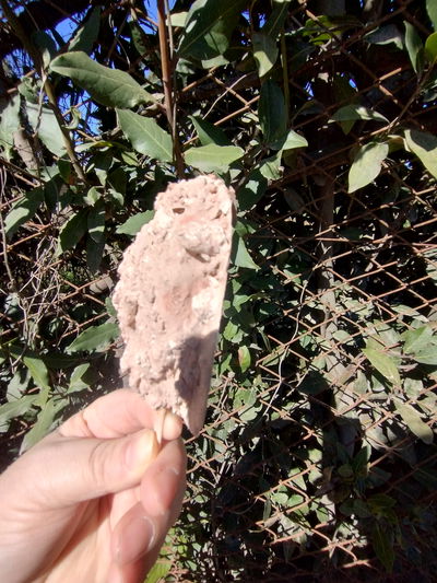 Paleta super magnun XXXl 