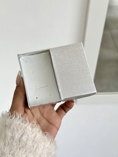 Estuche plateado 