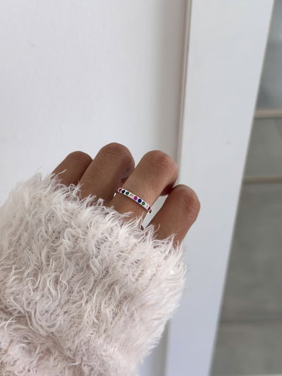 Anillo perr