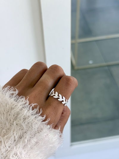 Anillo mino 