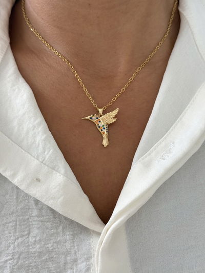 Conjunto Colibri colores 