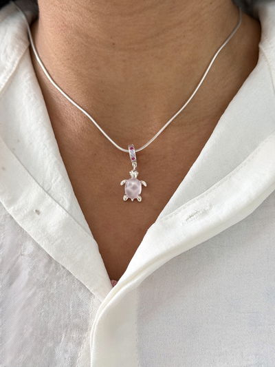 Conjunto tortuga 