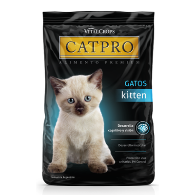 Catpro Gatitos Kitten