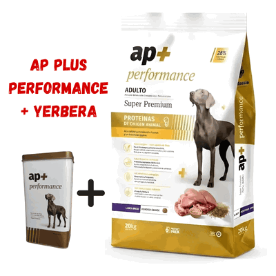 AP Super Premium Perro Adulto Mediano Grande 20kg