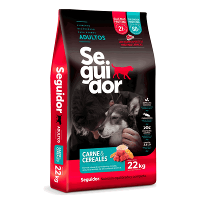 Seguidor Perro Adulto Mediano Grande