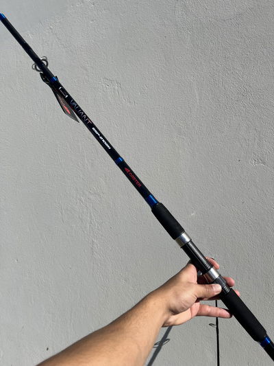 Caña CASTER Valiant 2.10m Variada Pesada 100-200g