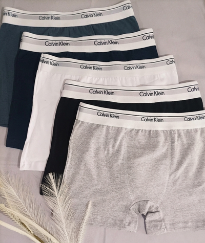 Art 804 Boxer Calvin