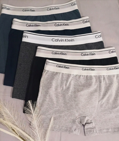 Art 804 Boxer Calvin